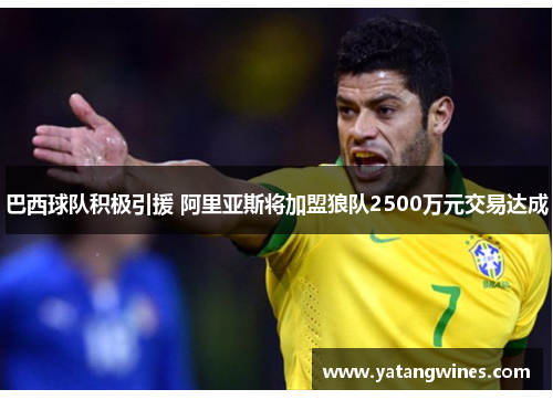 巴西球队积极引援 阿里亚斯将加盟狼队2500万元交易达成